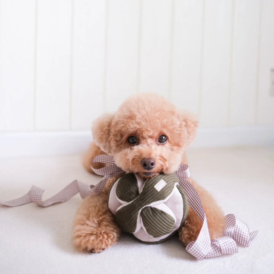 Monti //Enrichment Toy