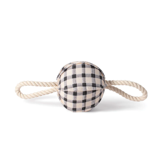 Pulling You In Painted Gingham Dog Tug Toy