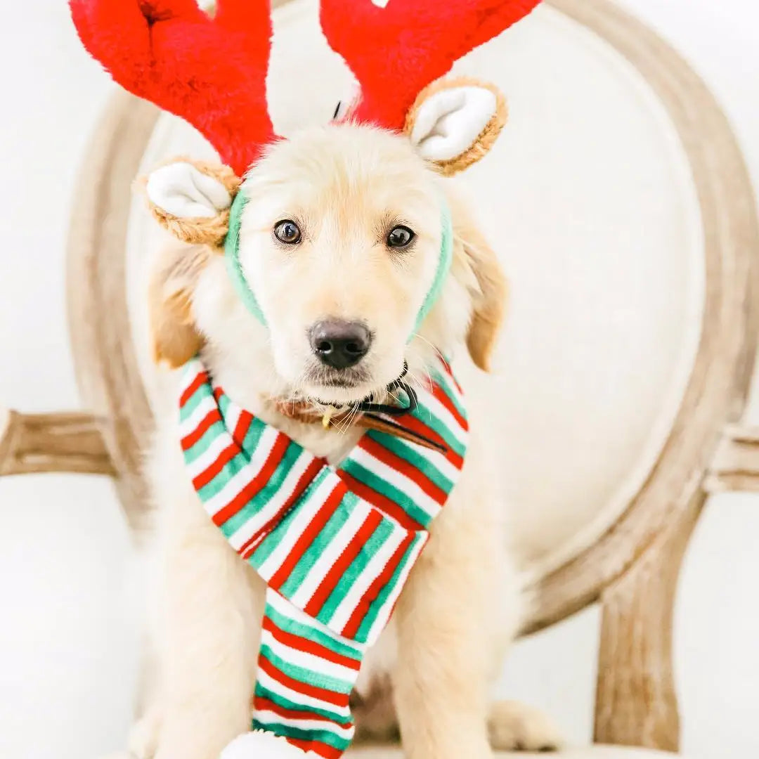 Zippypaws - Christmas Dog Antlers