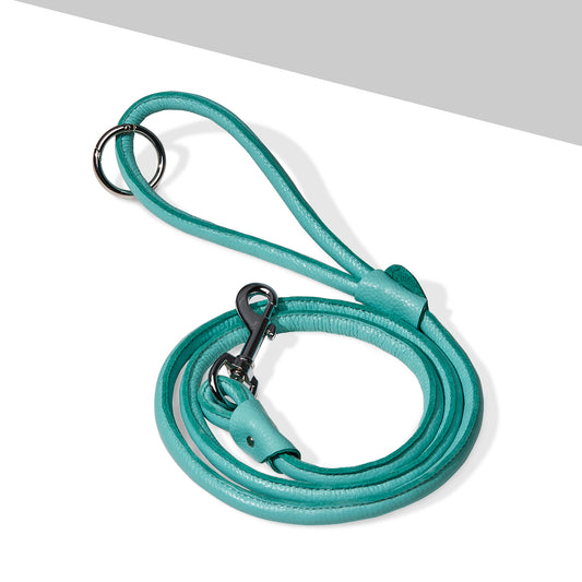 Chic Leather Leash - Blue