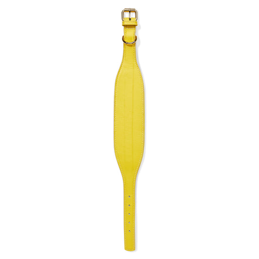 Hound Leather Collar - Yellow