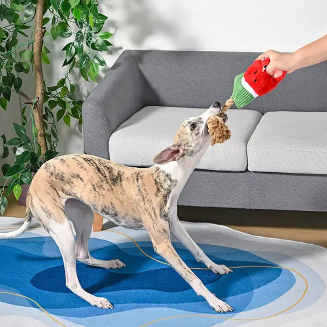 Hugsmart Pet - Food Party | Watermelon Popsicles- Plush Toy