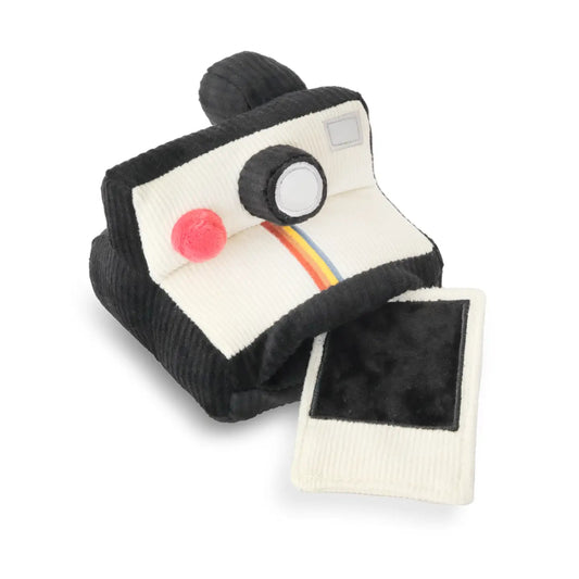 Instant Camera // Enrichment Dog Toy