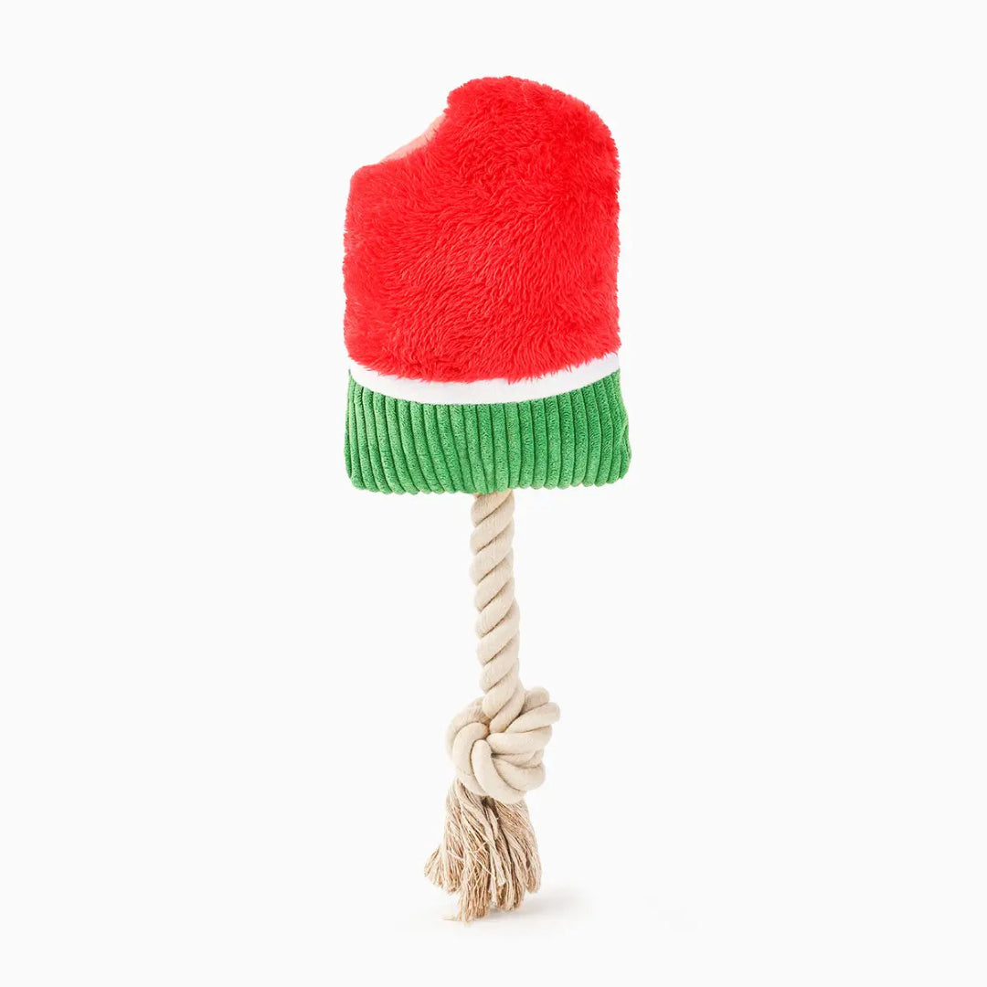 Hugsmart Pet - Food Party | Watermelon Popsicles- Plush Toy