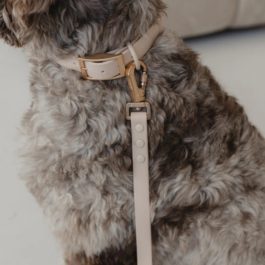 Waterproof Dog Collar in Nude