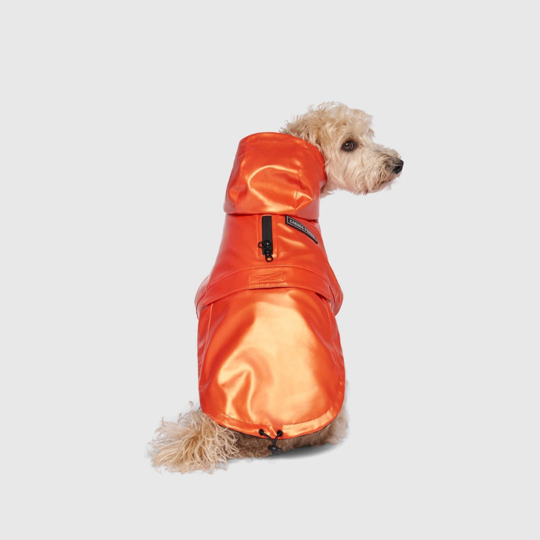 Cold Front Raincoat- Dog Raincoat
