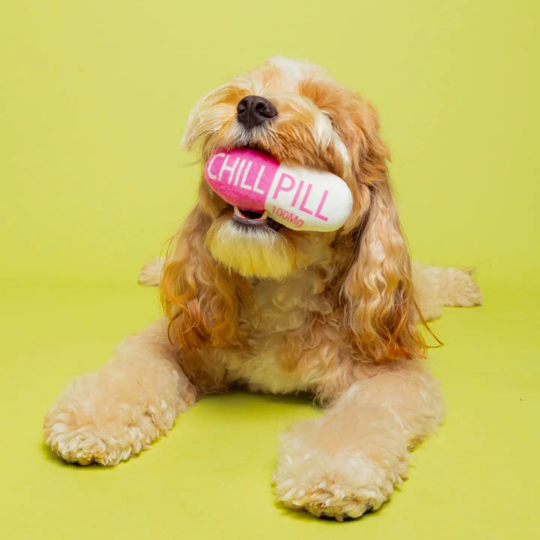 Chill Pill Dog Toy 5”
