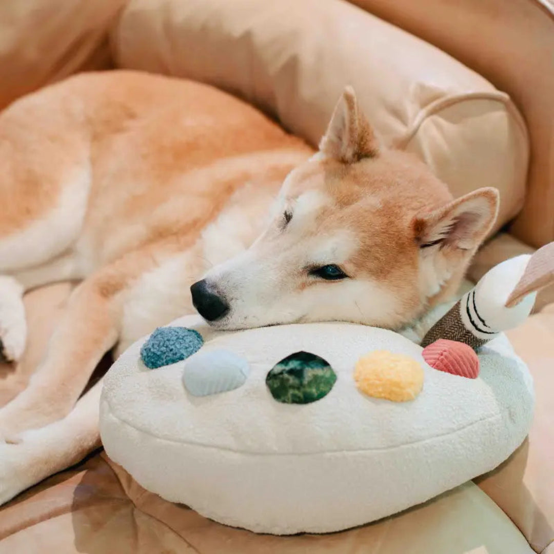 Color Palette Set // Enrichment Dog Toy