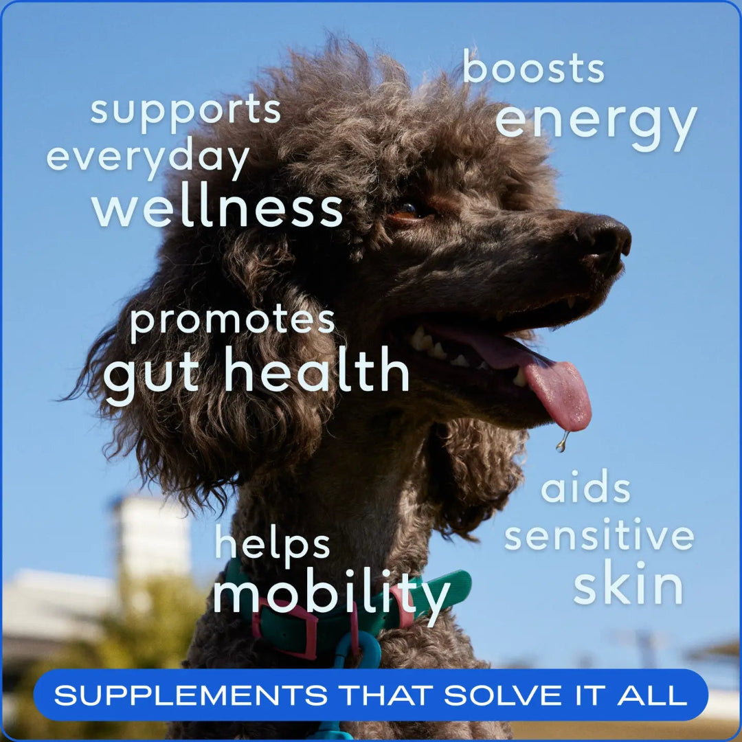 Native Pet - Bestseller  The Daily Powder Supplement, 11-in-1 Multivitamins For Dogs