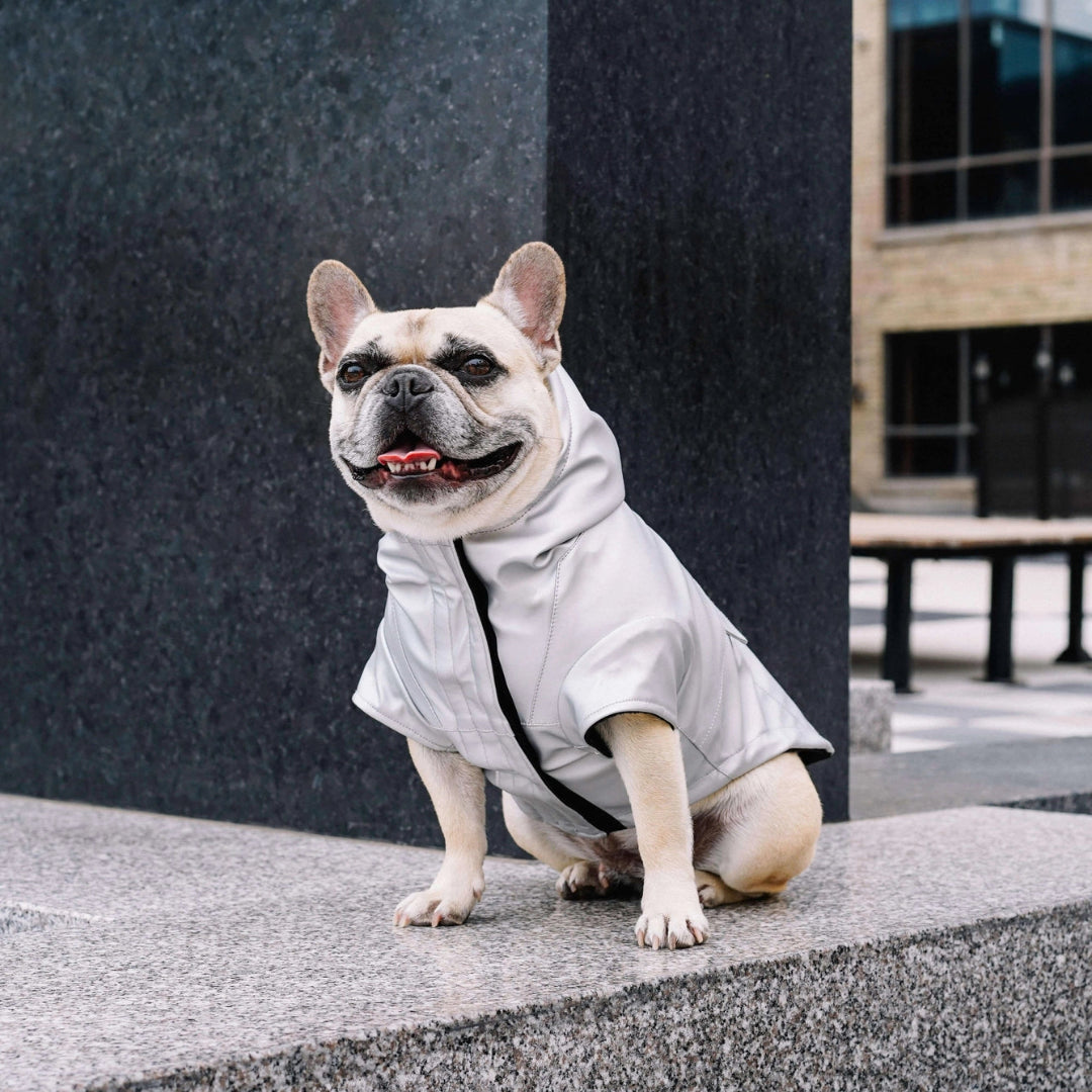 Cold Front Raincoat- Dog Raincoat