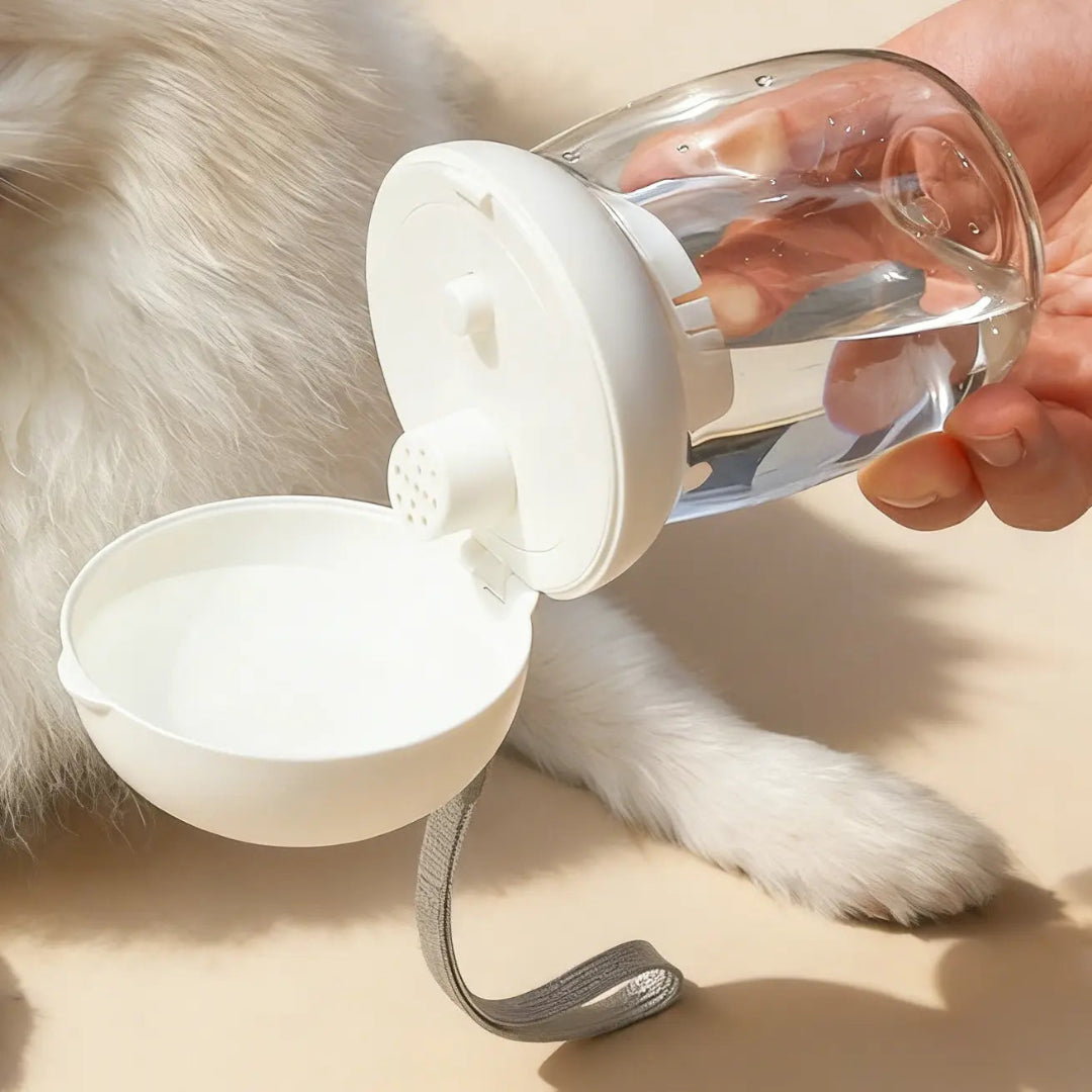 Portable Pet Water Bottle for Dogs