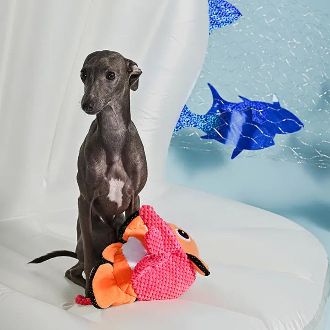 Hugsmart Pet - Ocean Pals | Clown Fish - Dog Plush Toy