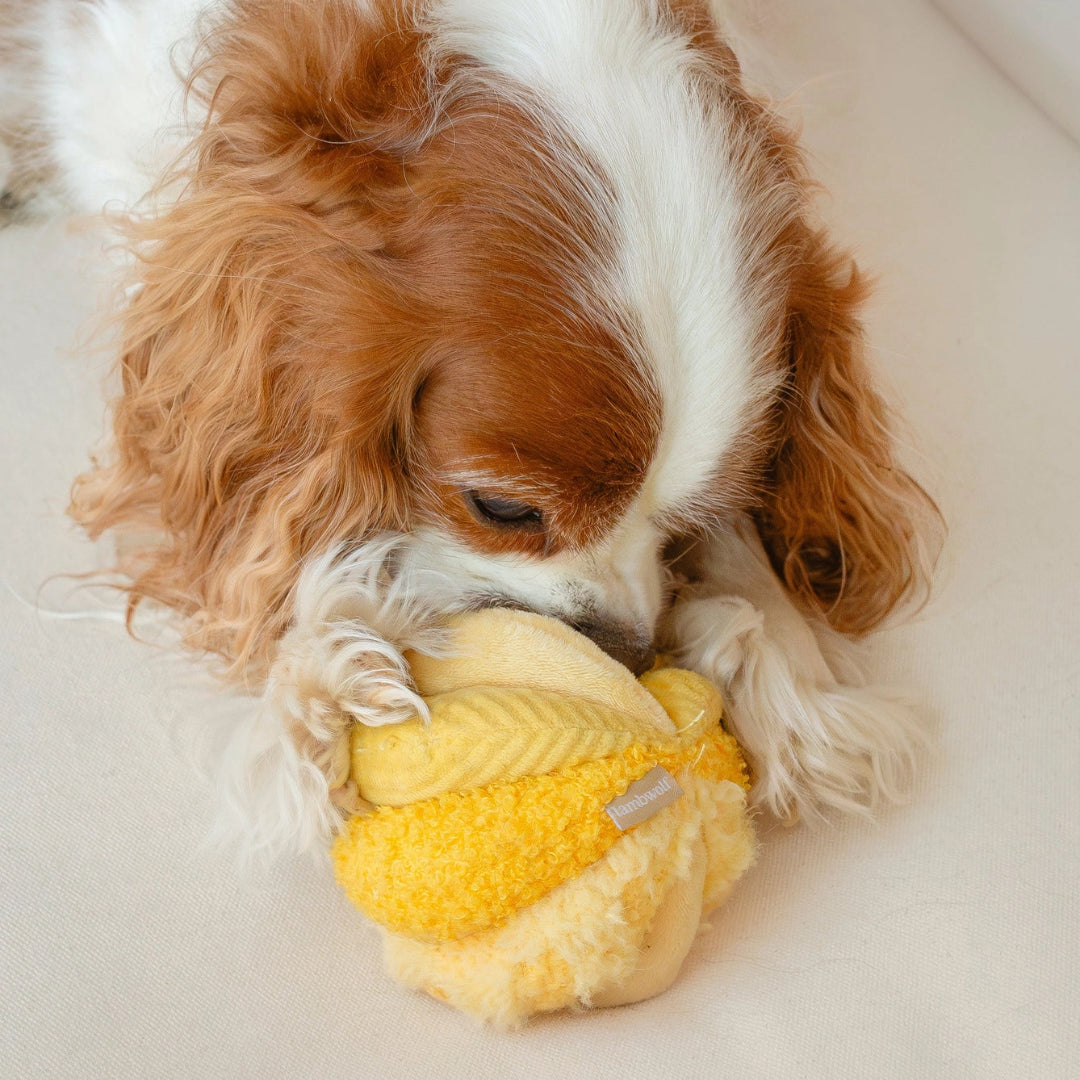 Toto // Silent Snuffle Smaller Ball