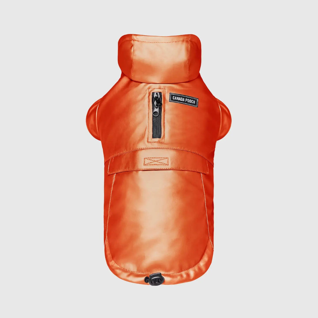 Cold Front Raincoat- Dog Raincoat