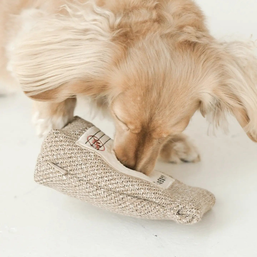 Coffee Beans//Enrichment Dog Toy