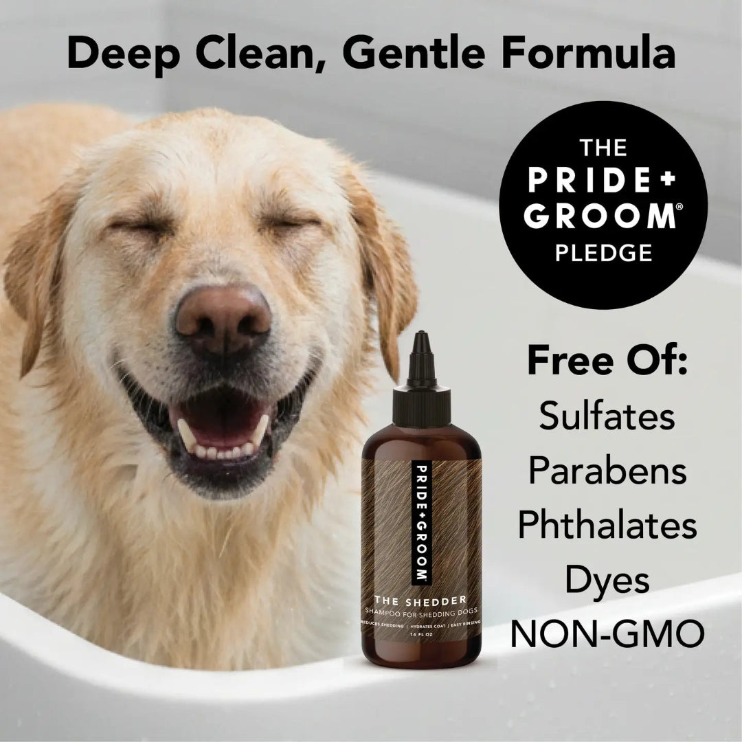 The Shedder Shampoo, 12oz