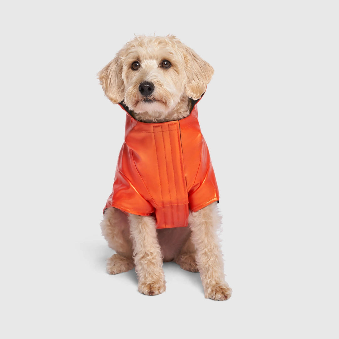 Cold Front Raincoat- Dog Raincoat