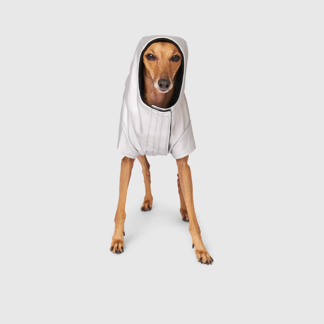 Cold Front Raincoat- Dog Raincoat