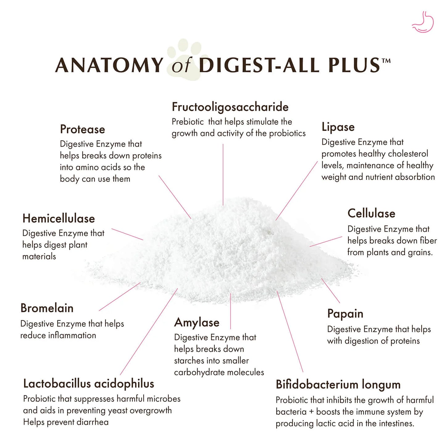 Wholistic Pet Organics - Digest All Plus 2oz
