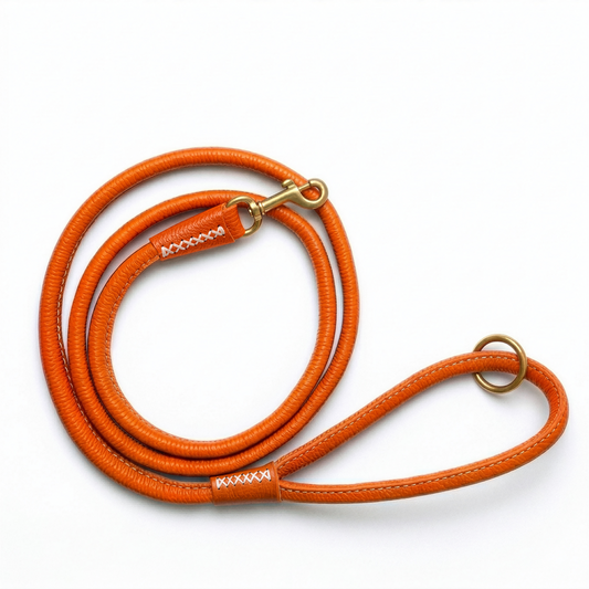 Miaboo Smooth Leather Leash - Orange