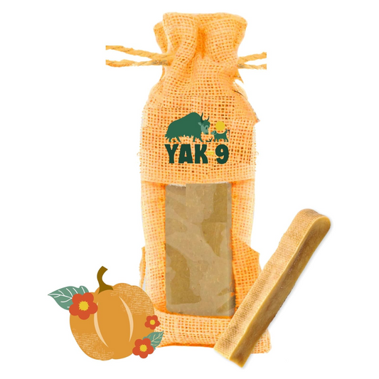 YAK 9: Yak Cheese Chew - Pumpkin 6oz