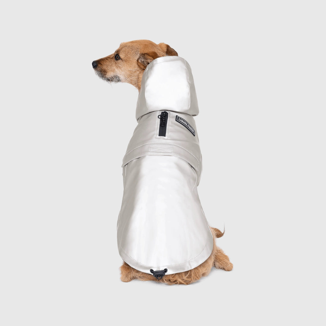 Cold Front Raincoat- Dog Raincoat