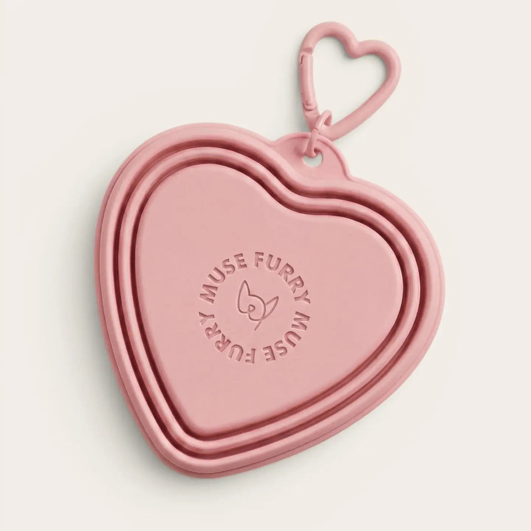 Sweetheart On-The-Go Bowl