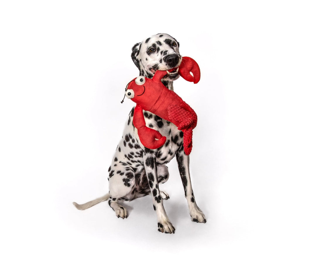 Floppy Lobster Plush Dog Toy