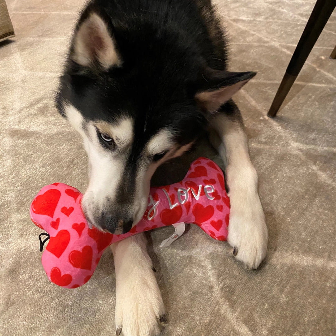 My Puppy Love Bone Dog Toy