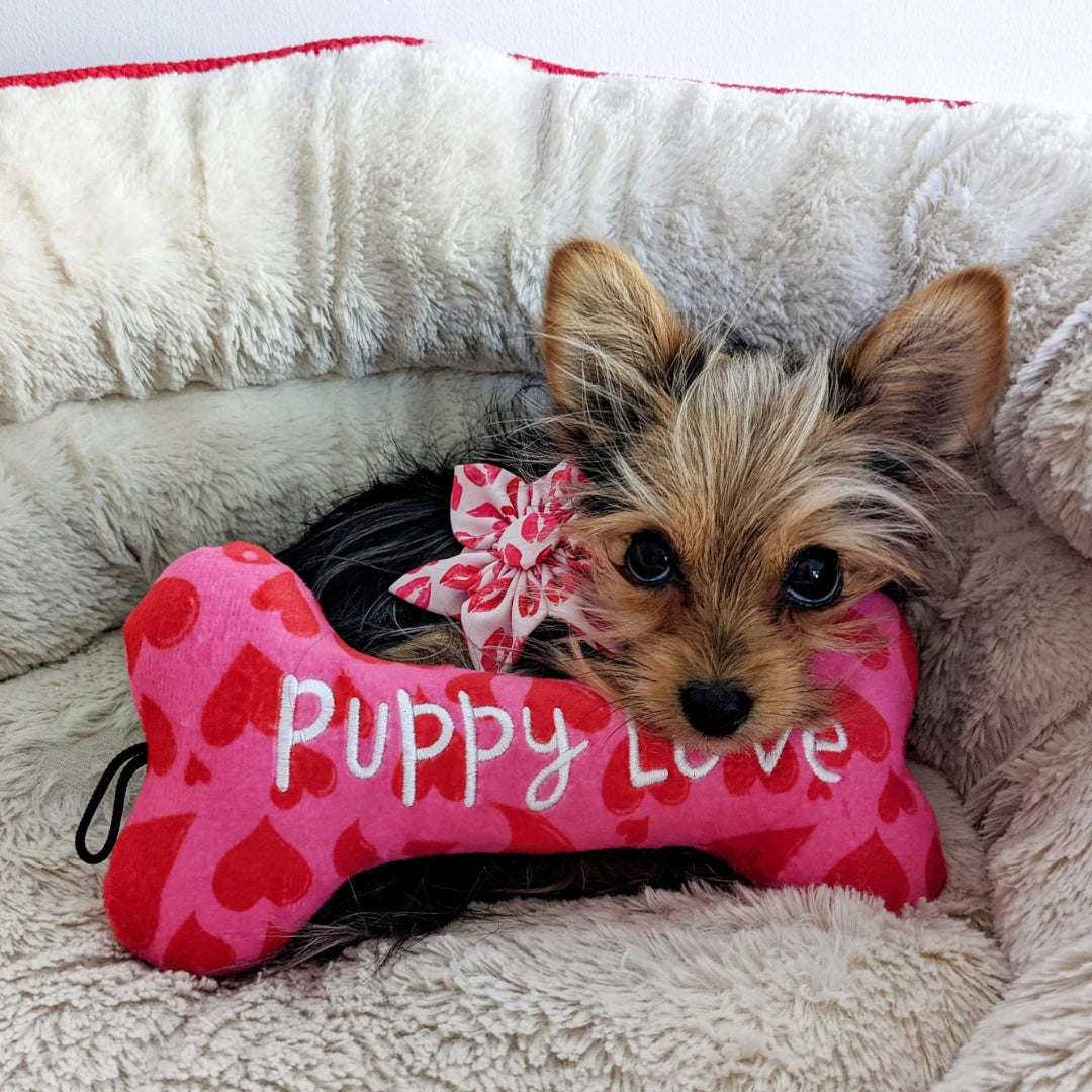 My Puppy Love Bone Dog Toy