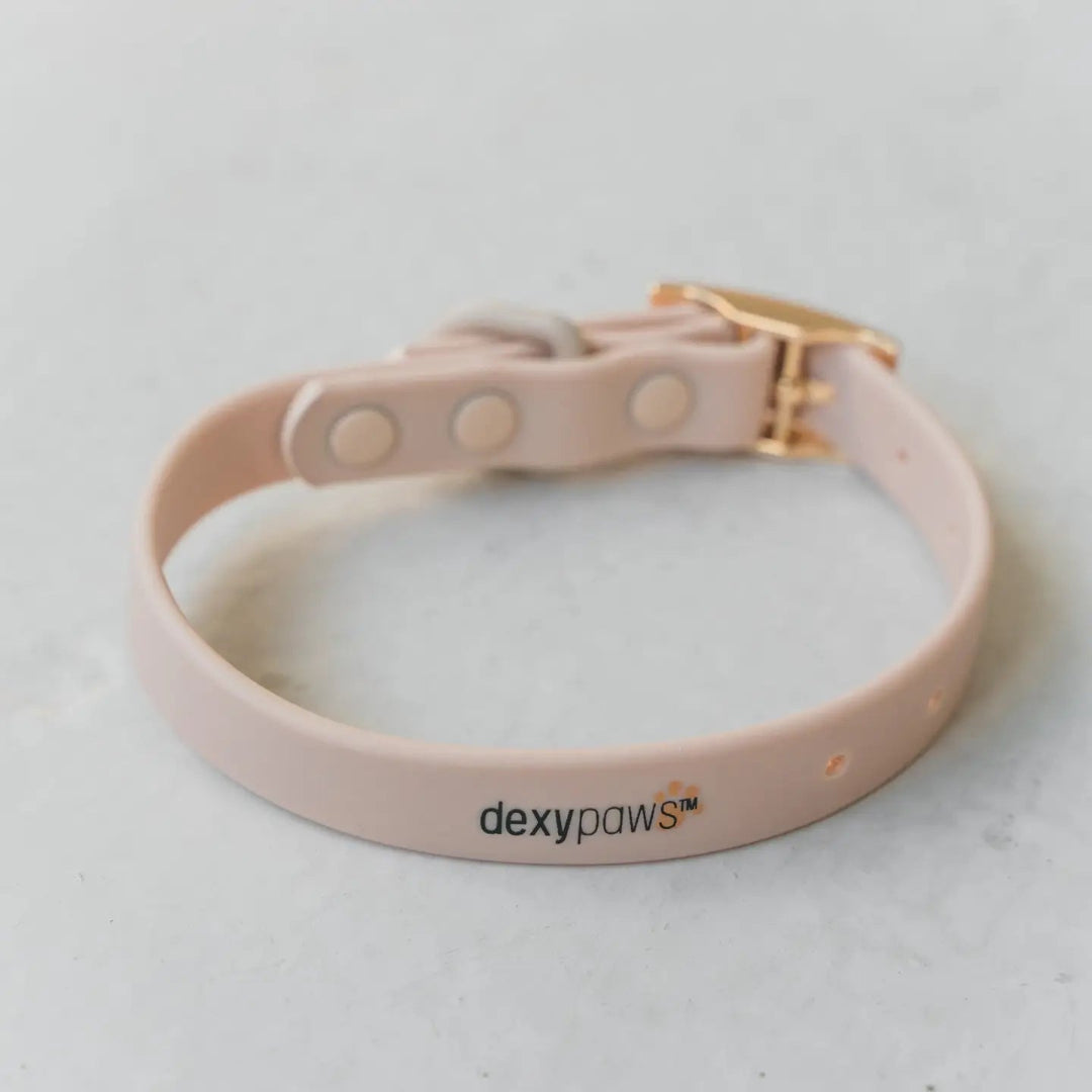 Waterproof Dog Collar in Nude