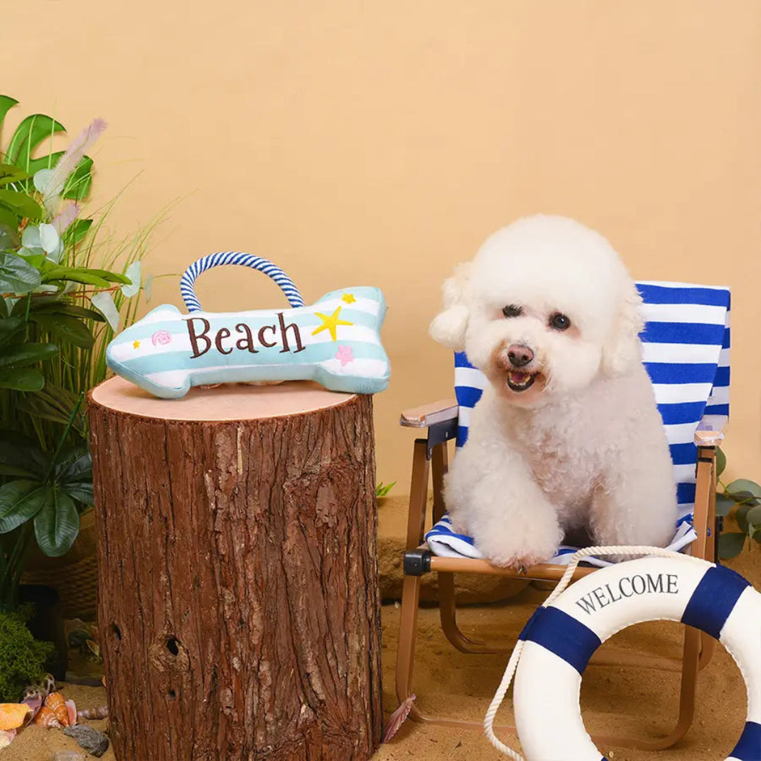 Hugsmart Pet - Beach Daze | Beach Sign - Dog Rope Toy