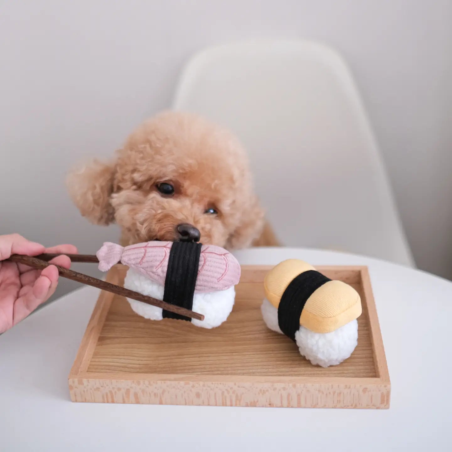 Sushi // Enrichment Dog Toy