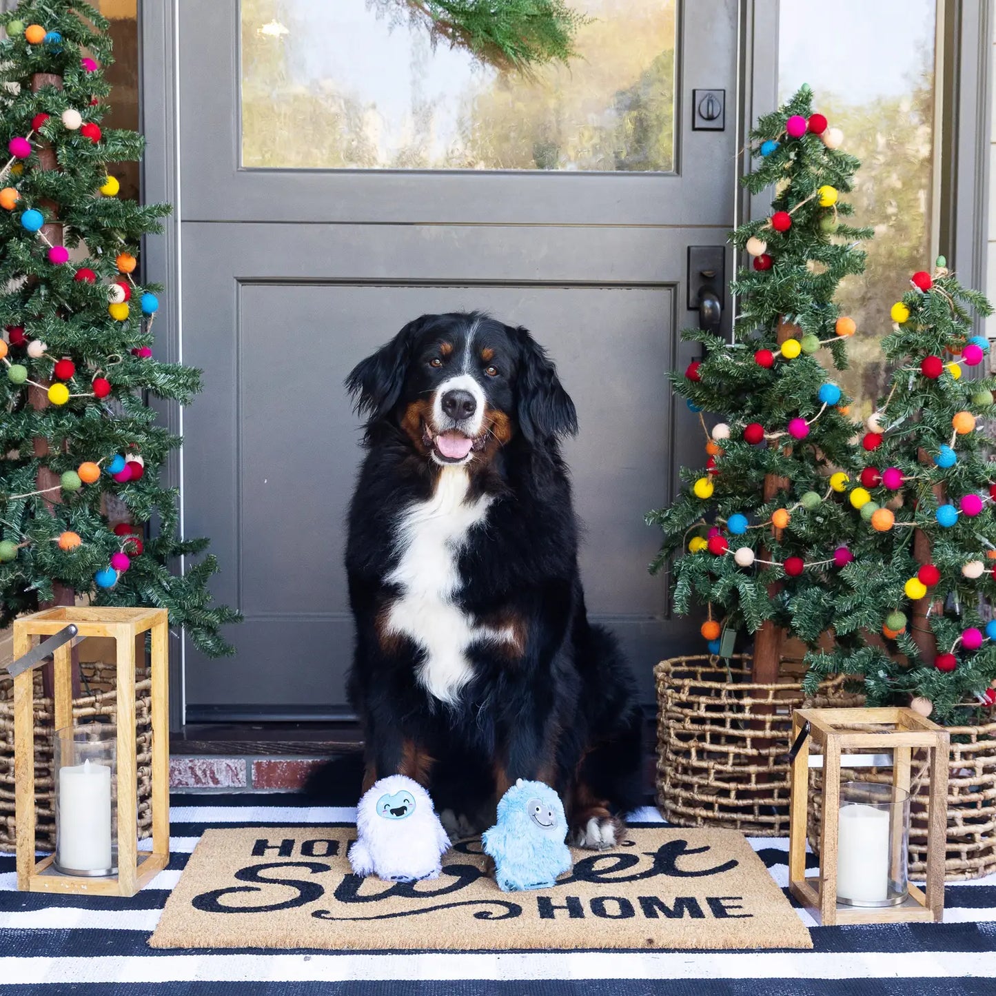 Fringe Studio - Yeti For Us? 2 Piece Dog Toy Set