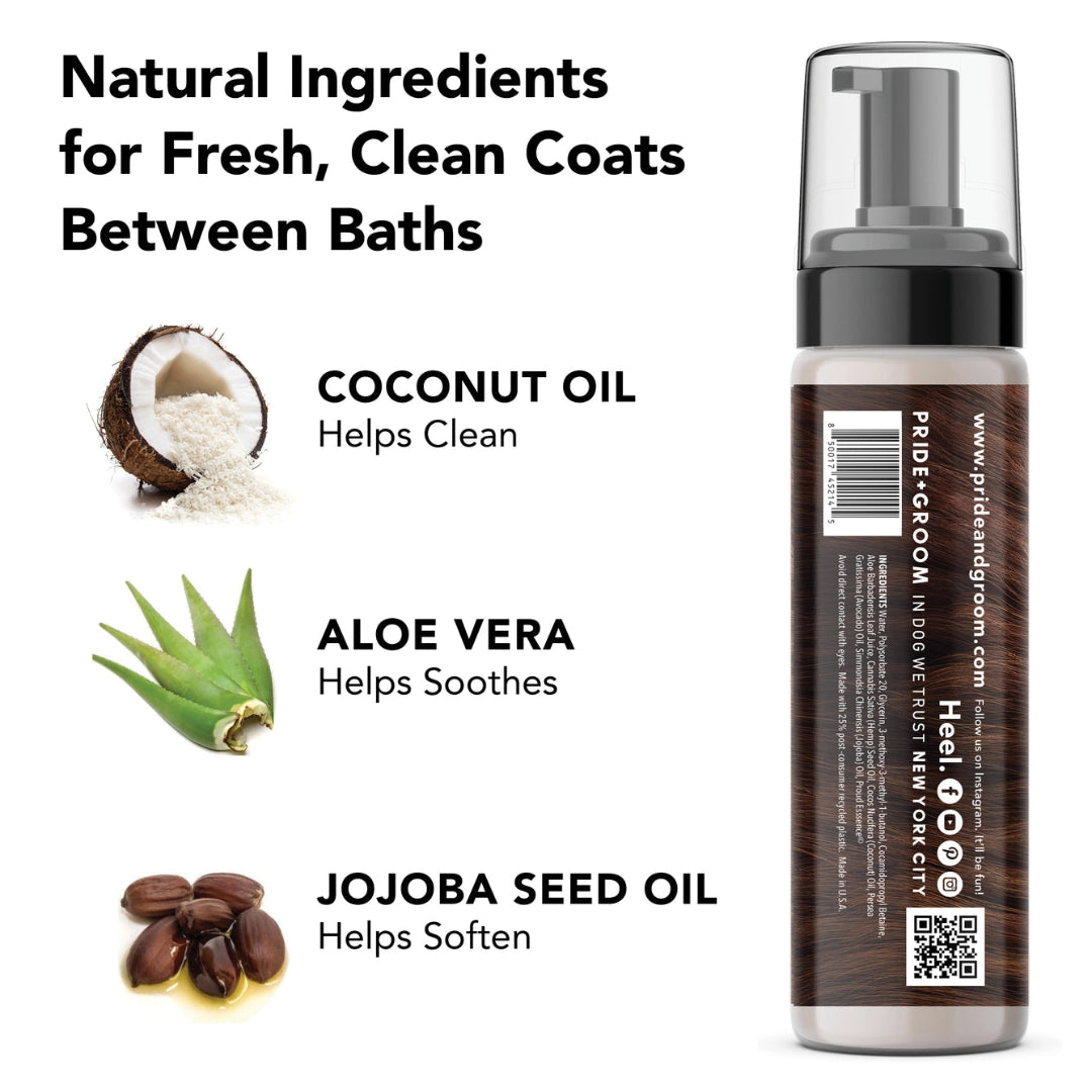 The Mane Tame, Waterless Dry Shampoo