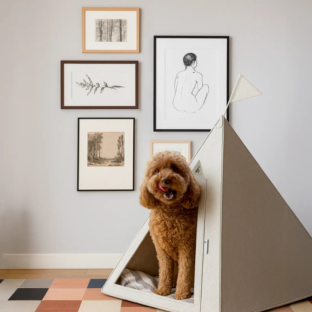Teepee Bailey – Portable Dog Teepee Bed