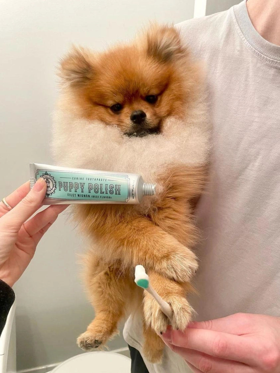 Puppy Polish Toothpaste - Filet Mignon (Beef)