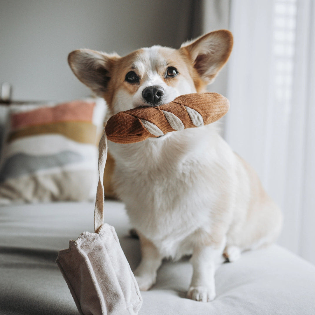 Baguette Enrichment Treat Dog Toy