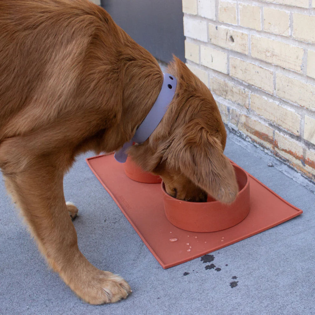 Houndstone: Silicone Pet Feeding Bowl